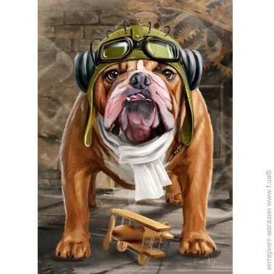   Cherry Pazzi     1000 ,  (CP30387)