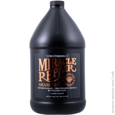 Chris Christensen          Miracle Repair 3.8 (819774012702)
