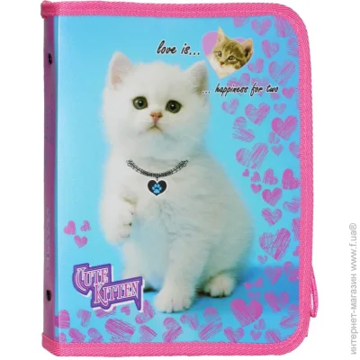 Class    Cute Kitten 5627-21C