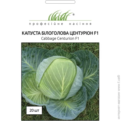 Clause    F1 20 . (4820176696427)