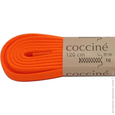 Coccine  SZNB/120/7P 120  