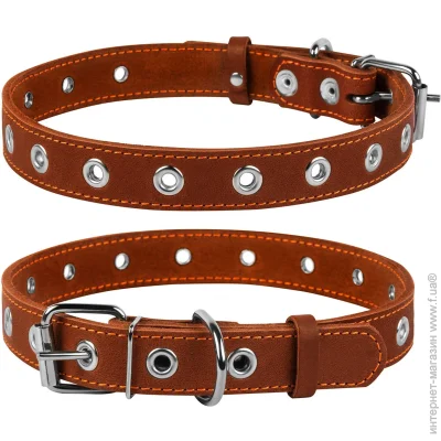  Collar 02446 2.5x60, 