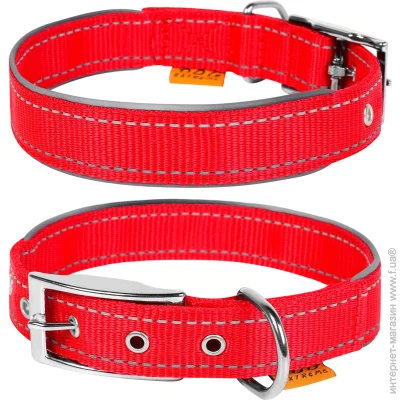Collar     2,538-48  
