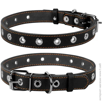 Collar   2,560  244