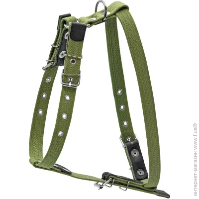 Collar  /  25 