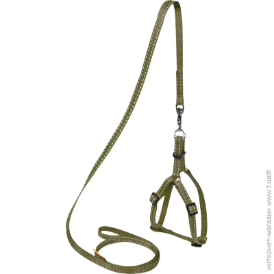 Collar  Dog Extreme    ,  S,  (070331)