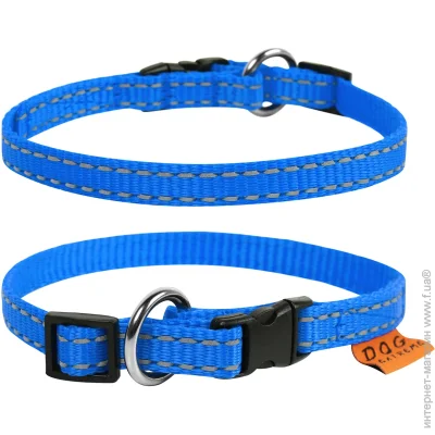 Collar Нашийник Dog Extreme нейлоновий регульований для котів та собак дрібних порід, розмір XS, 23-35 см, 14 мм, блакитний (01572) Collar Нашийник Dog Extreme нейлоновий регульований для котів та собак дрібних порід, розмір XS, 23-35 см, 14 мм, блакитний (01572)