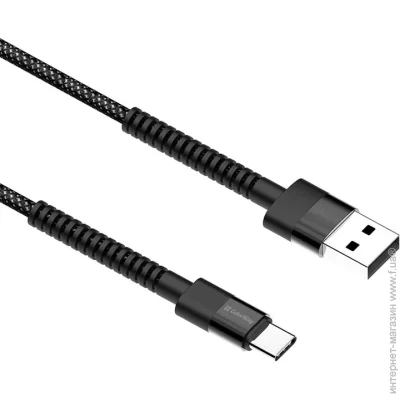  Colorway USB 2.0 AM to Type-C 1.0m 2.4 black (CW-CBUC063-BK)