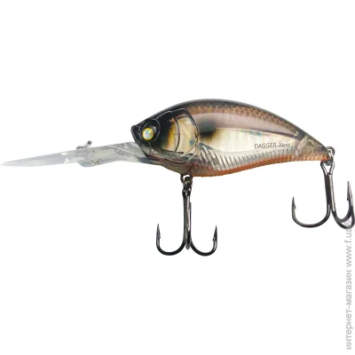 Condor  Dagger (-) 22,5  70  558
