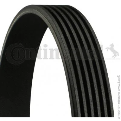   Contitech 6 PK 2575 (6PK2575)