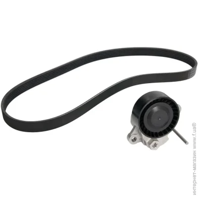   Contitech 6PK1005K1