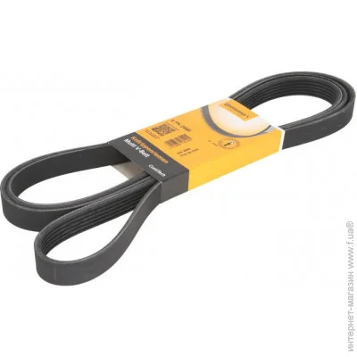   Contitech 6PK2460