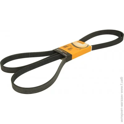   Contitech 6PK2581