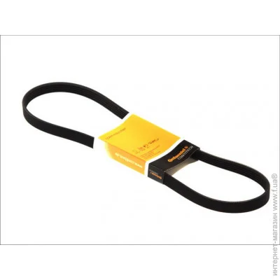   Contitech  () CONTI-V MULTIRIB (5PK1250)
