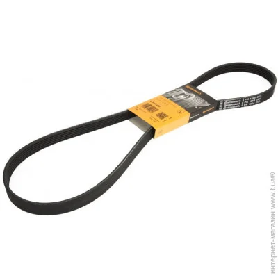   Contitech  () CONTI-V MULTIRIB (6PK1264)