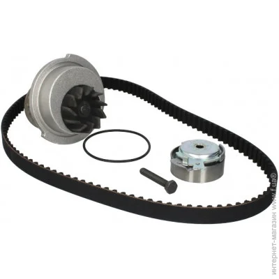   Contitech CT874WP5