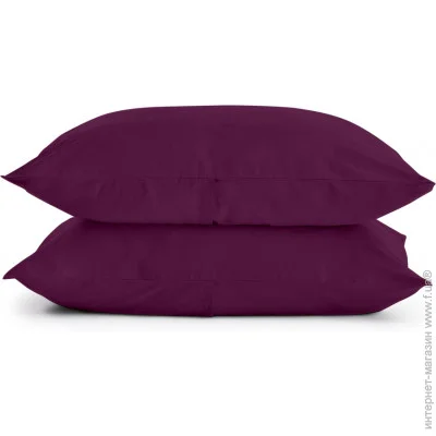  Cosas   5070 BLUEBERRY (4822052088357)