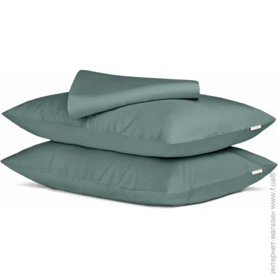 Cosas     ASHMINT CS2 (4822052110812)