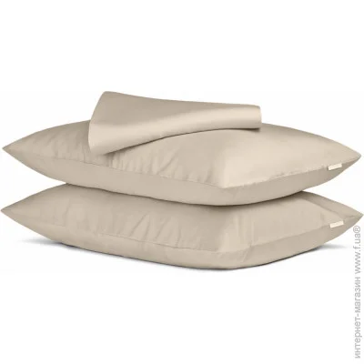 Cosas     BISCUIT CS2 (4822052110775)