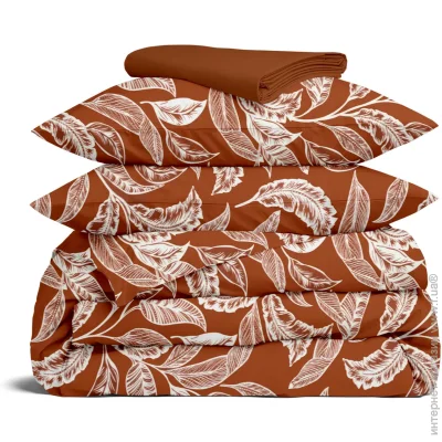    Cosas   TERRACOTTA CS1 (4822052350454)