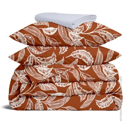    Cosas   TERRACOTTA CS3 (4822052344545)