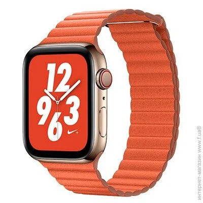  Coteetci W7 Leather Magnet Band   Apple Watch 38mm/40mm (WH5205-OR)
