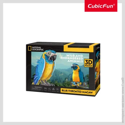3D  Cubic Fun     (DS1097h)