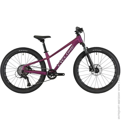  Cyclone 24" DREAM 12" Գ () (25-913)