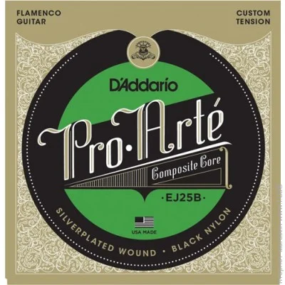   D'Addario EJ25B