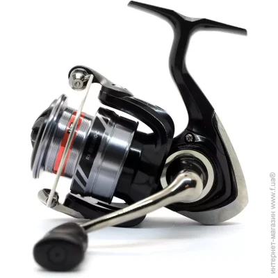  Daiwa  20 RX LT 5000-C / (2160361 / 20004686)
