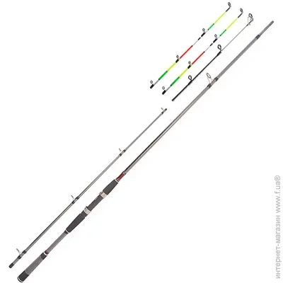 Daiwa  Seahunter X Variotip 2.70 m 30-110 g Grey (1102-11531-275)