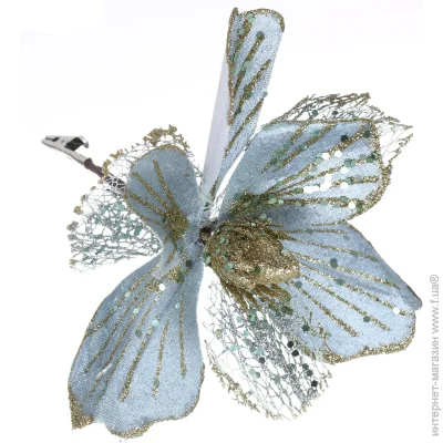 Dalian Everglory    