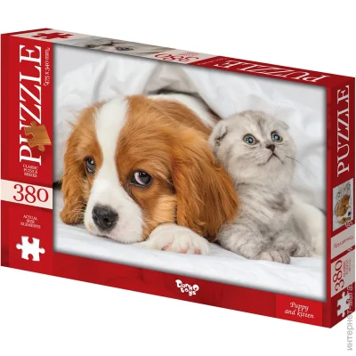   Danko Toys    (C380-06-01)