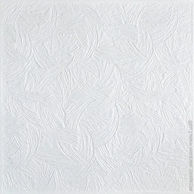 Dardan   C13 50x50  8 . 2 .