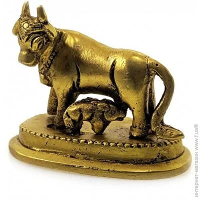     Darshan    34068