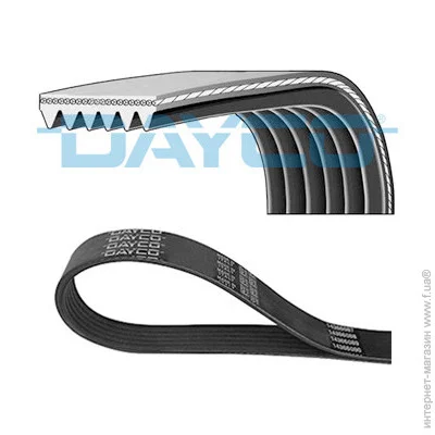   Dayco 6PK1013