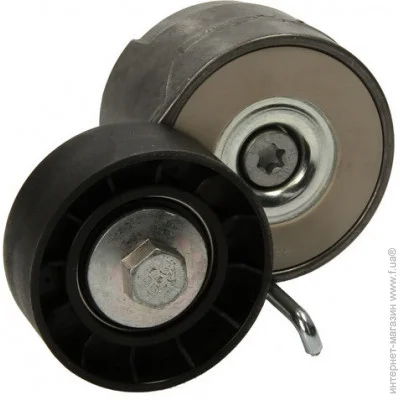   Dayco APV1078