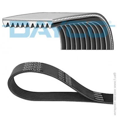   Dayco DAY10PK1781HD (10PK1781HD)
