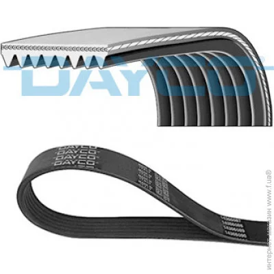   Dayco DAY8PK2548HD (8PK2548HD)