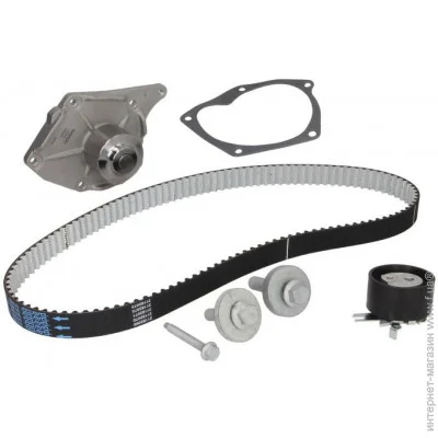   Dayco KTBWP5320