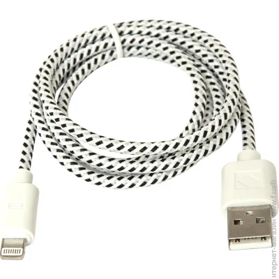  Defender ACH01-03T USB-Lighting 1m (87471)