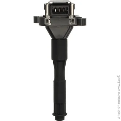   Delphi GN10016-12B1 (GN1001612B1)
