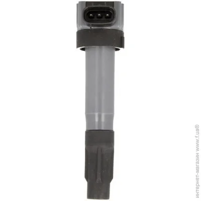  Delphi GN10530-12B1 (GN1053012B1)