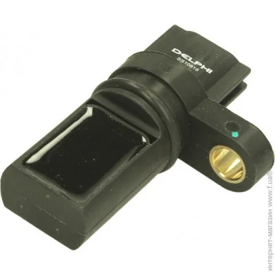  Delphi SS10818
