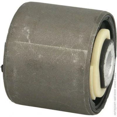 Delphi TD310W