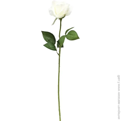   Devilon   , 54 , 