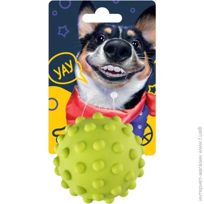 DGT    '  PET1