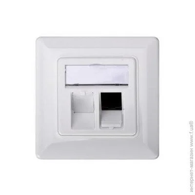   DIGITUS 2 Keystone 80x80   (DN-93801-1)