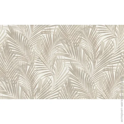 Dinastia      835DN31 1,06x10,05 