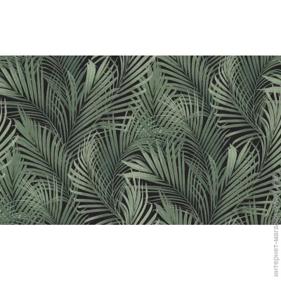 Dinastia      835DN36 1,06x10,05 